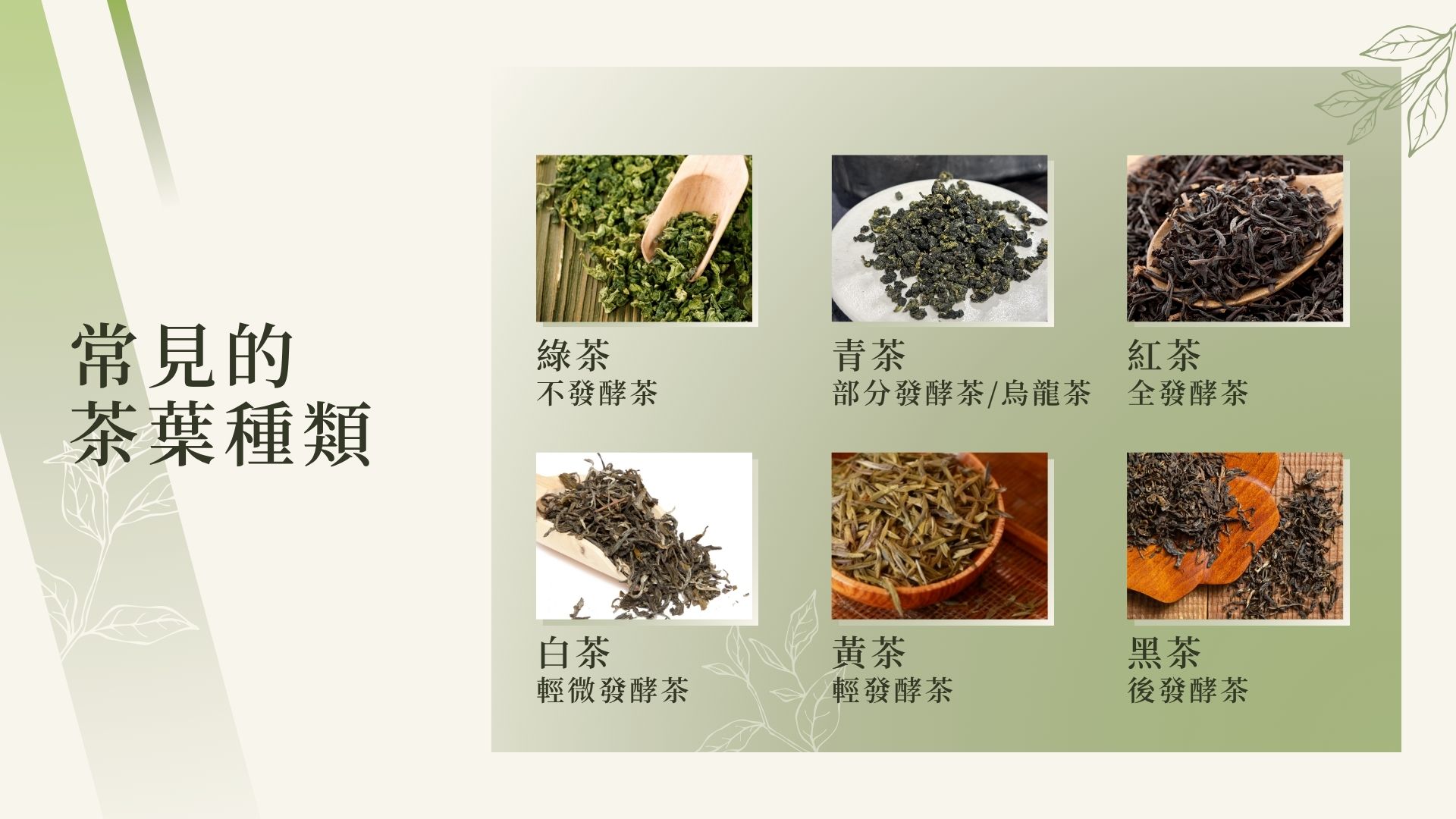 常見的茶葉種類