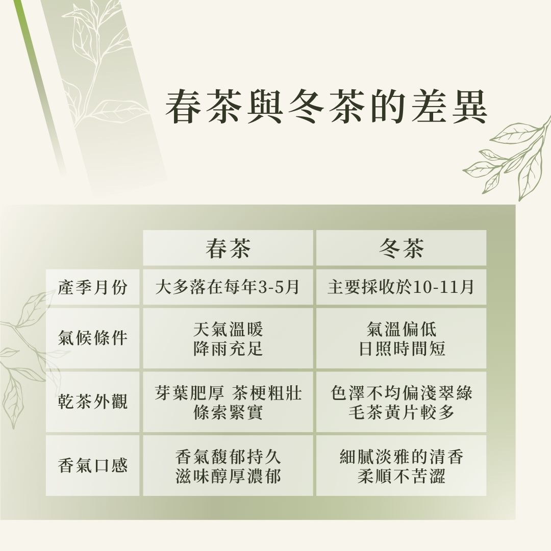 春茶VS冬茶