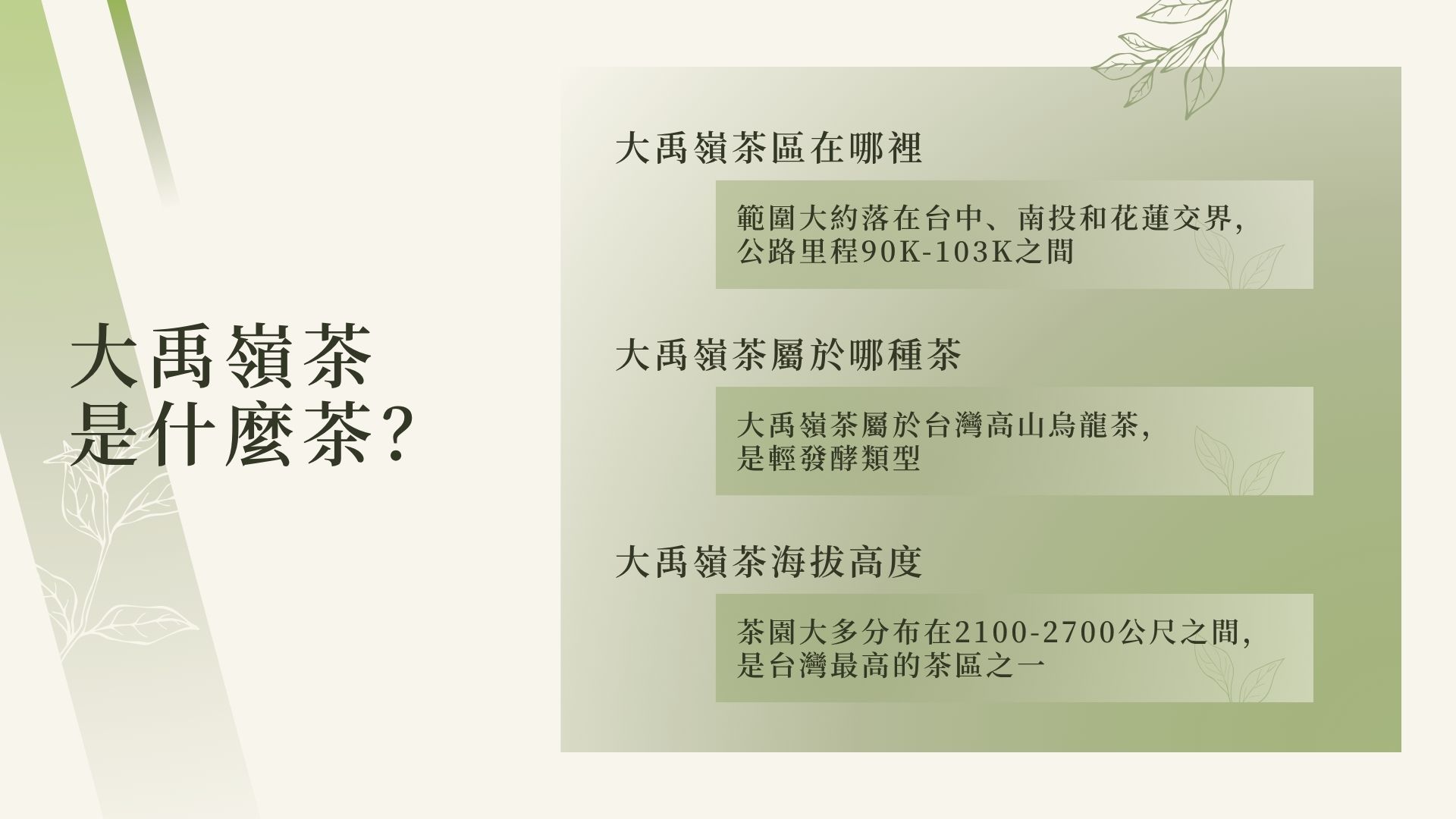 大禹嶺茶是什麼茶？