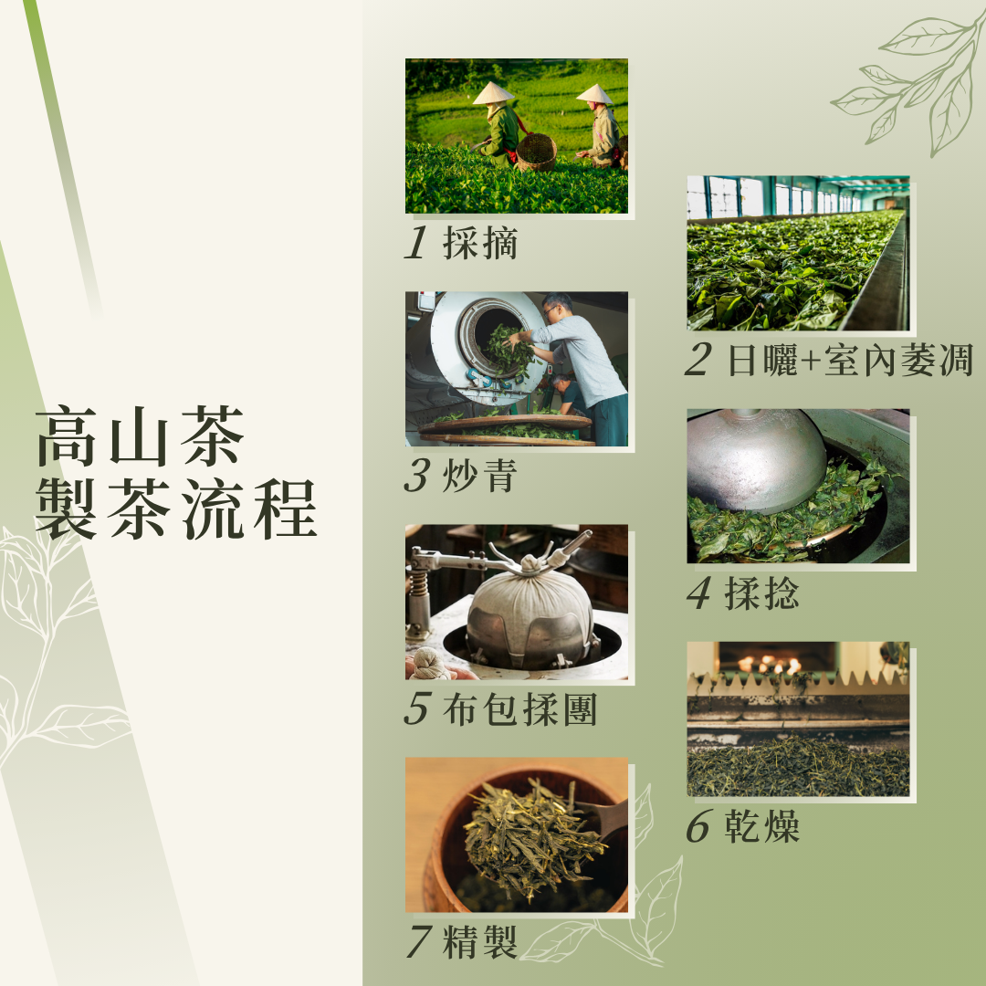高山茶的製茶流程
