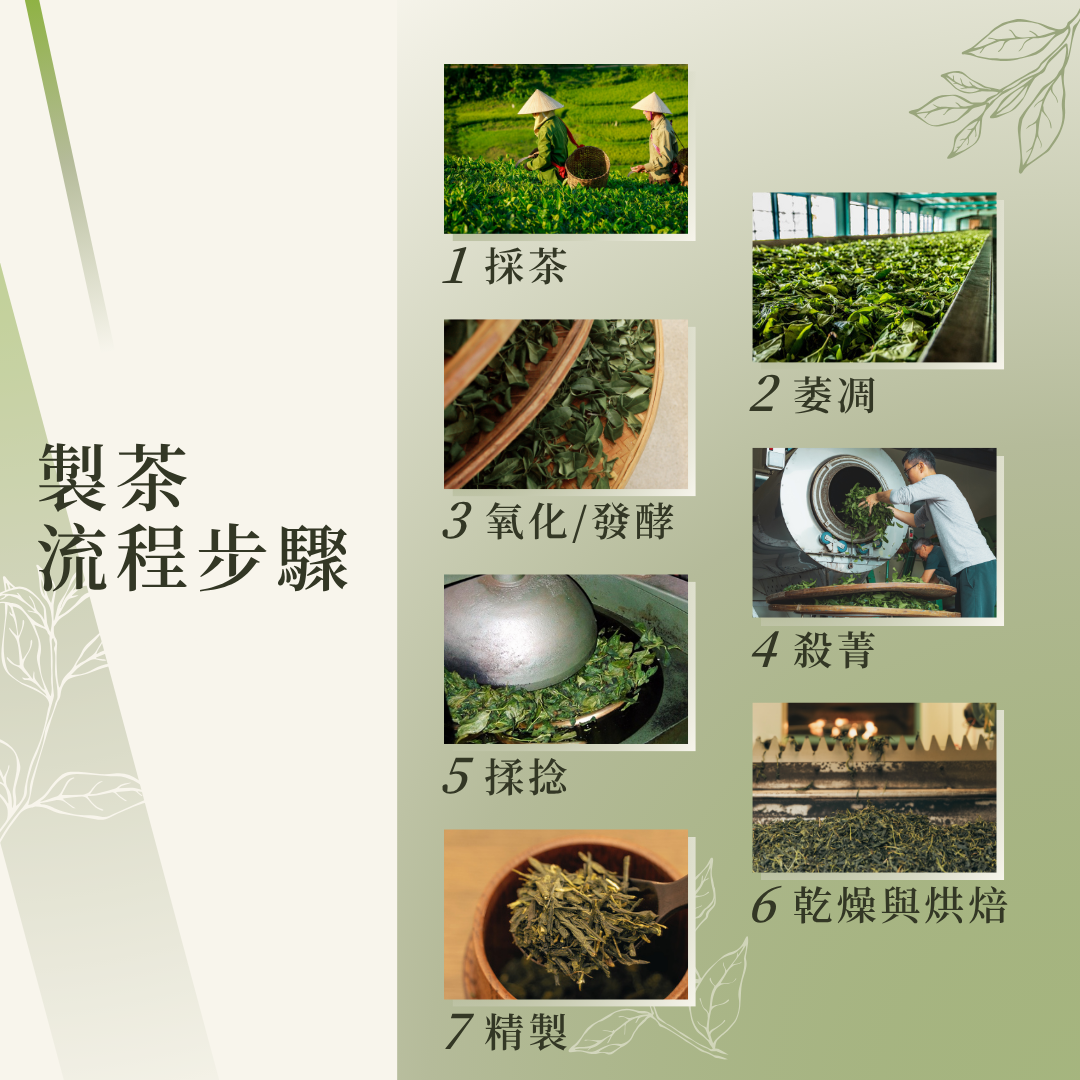 製茶流程