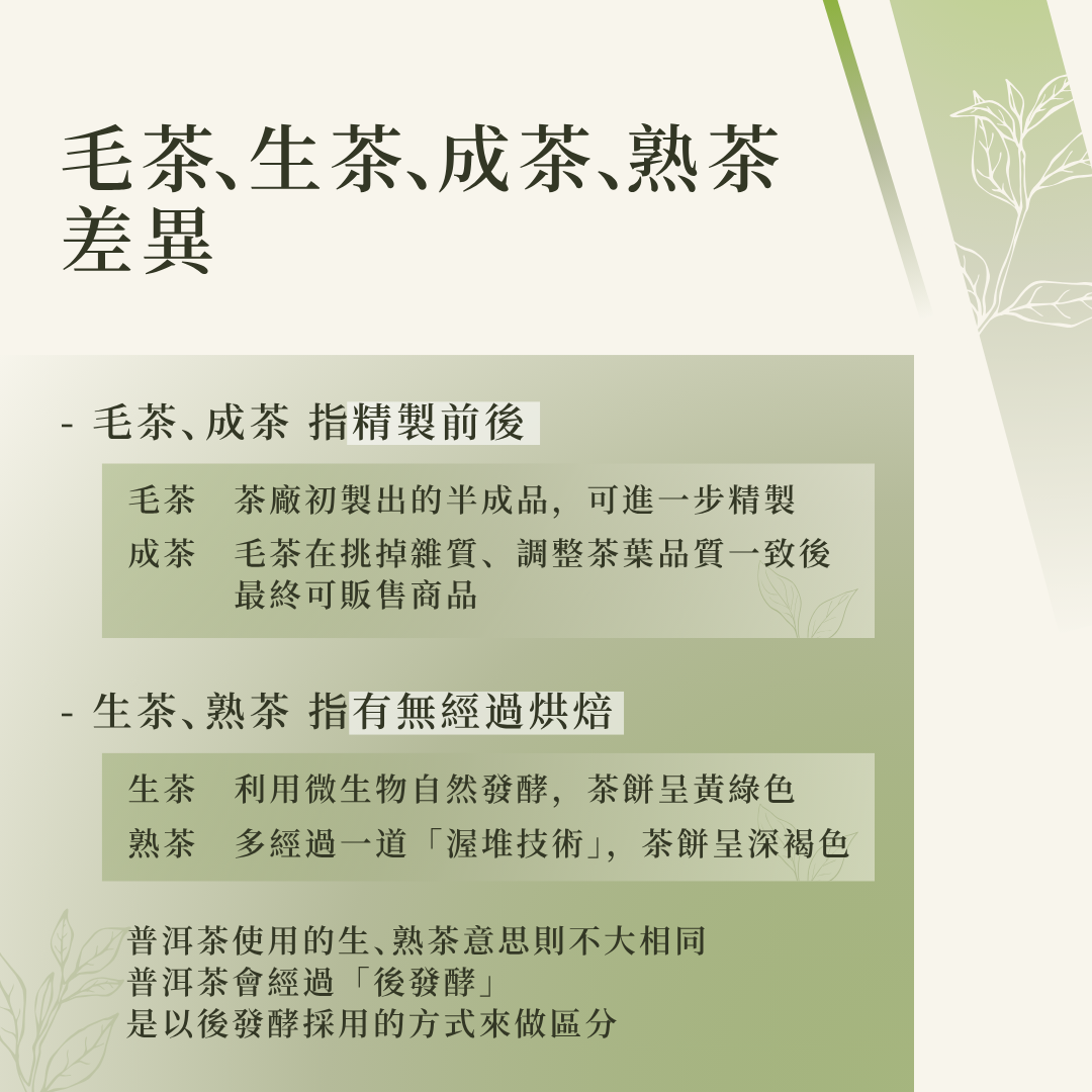 毛茶/生茶/成茶/熟茶差別