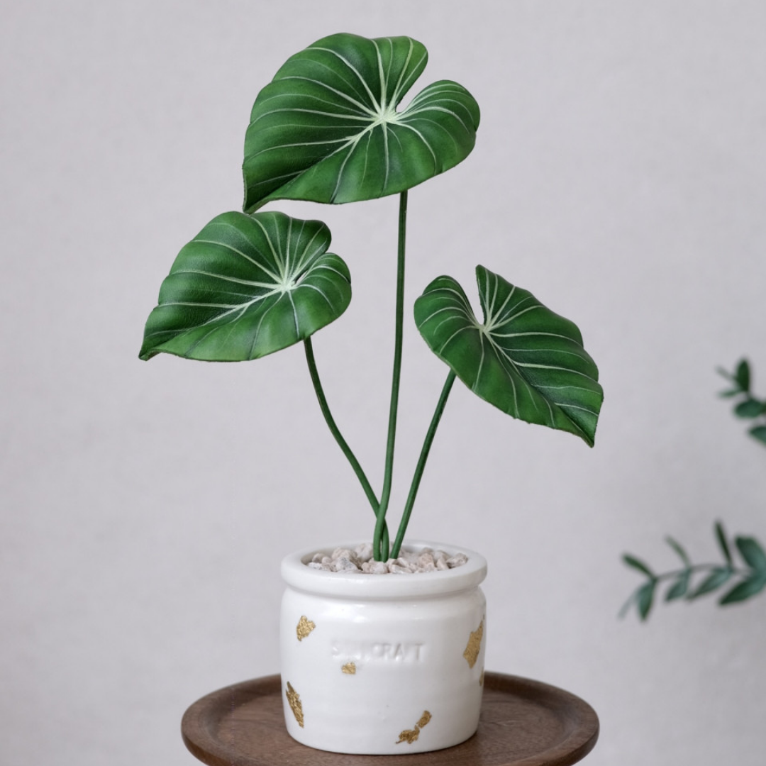 退休禮品推薦盆栽