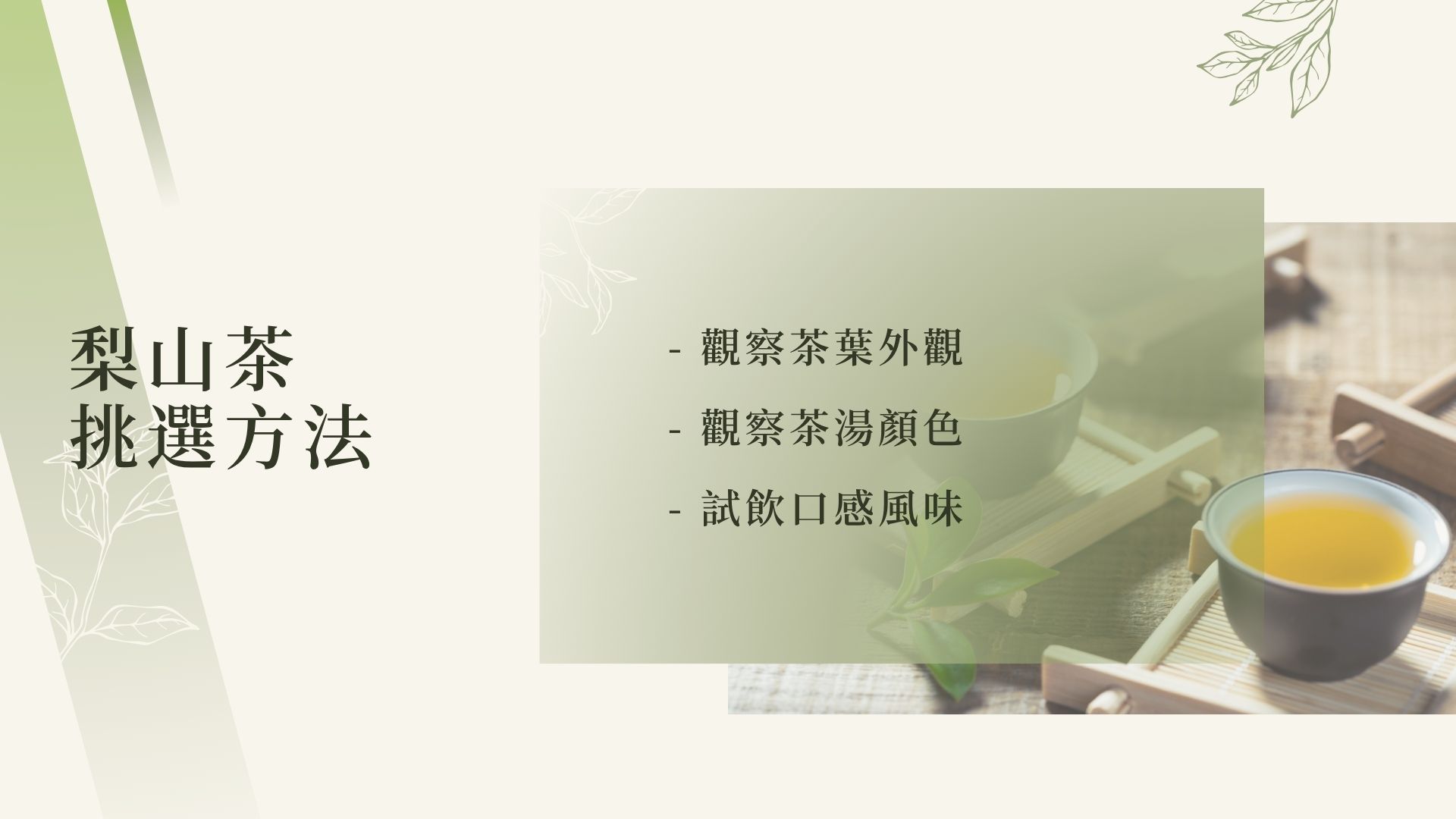 梨山茶的挑選方法