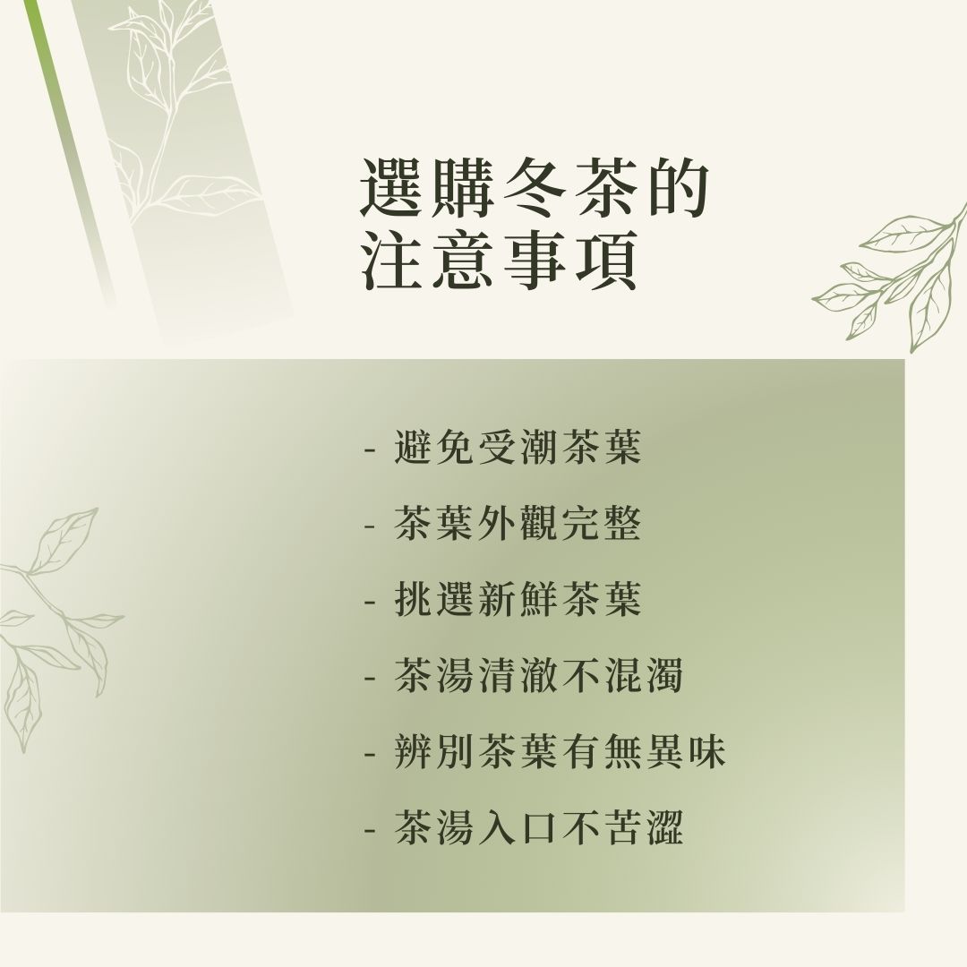 選購冬茶的注意事項
