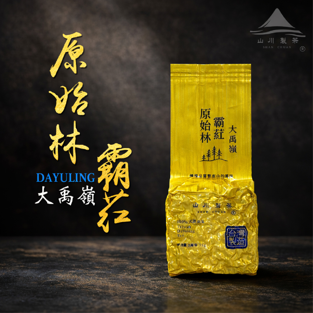 大禹嶺 原始林霸葒