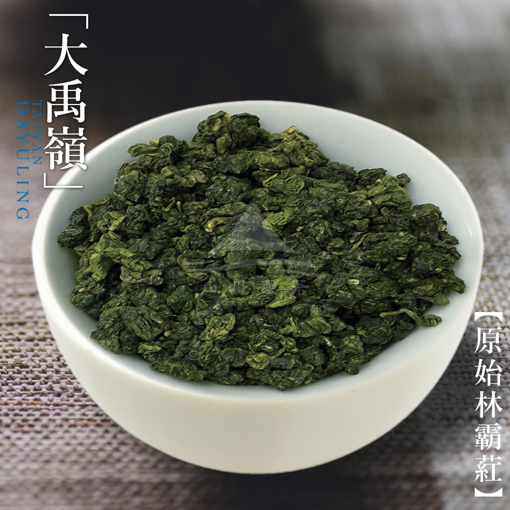 大禹嶺 原始林霸葒