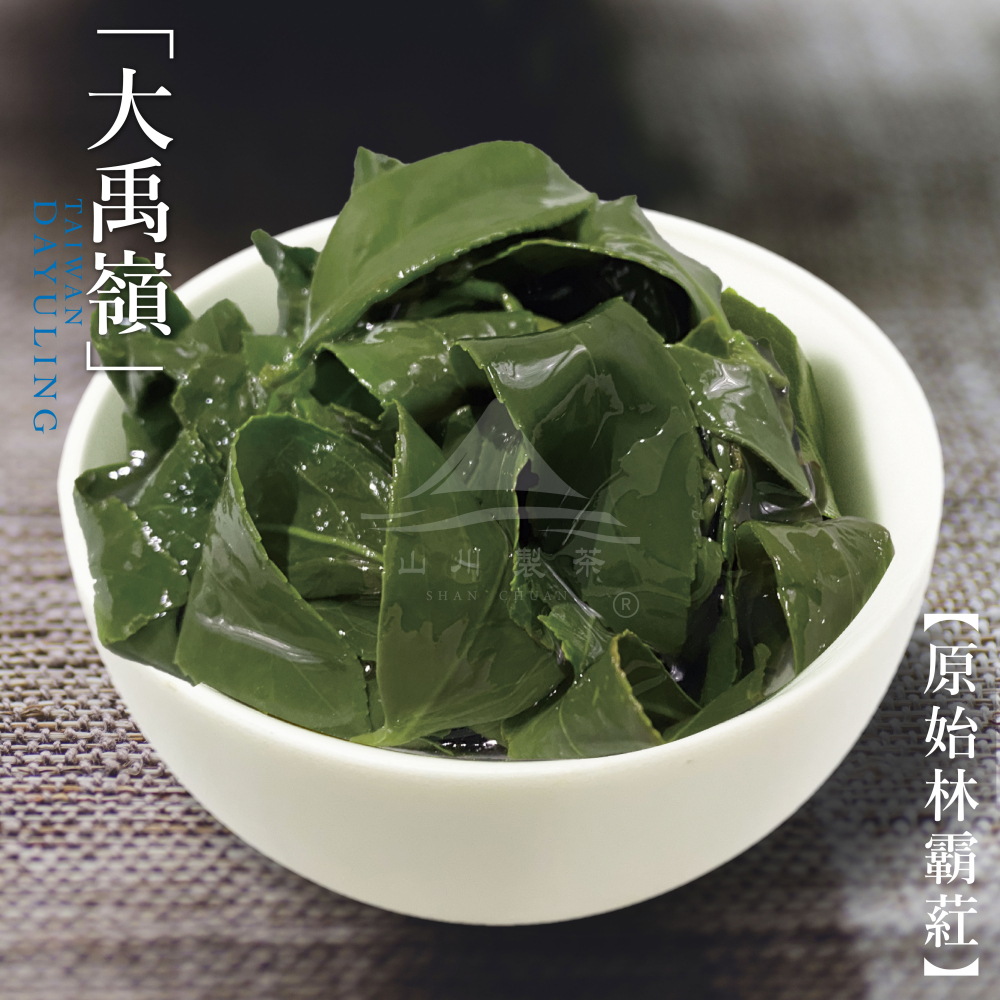 大禹嶺 原始林霸葒