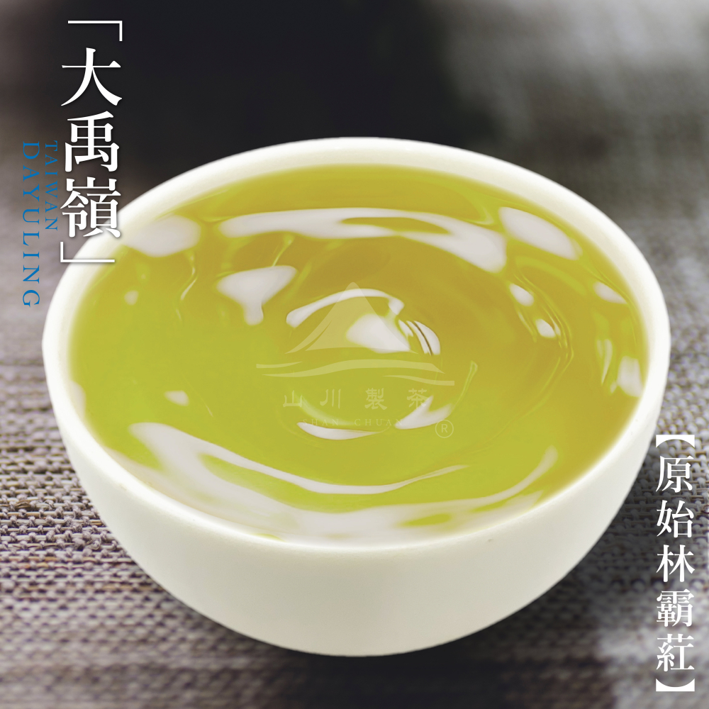 大禹嶺 原始林霸葒